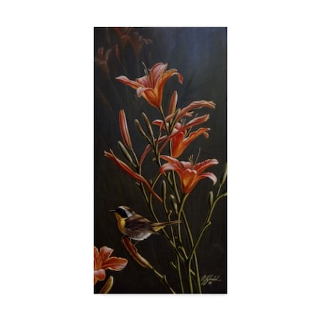 Wilhelm Goebel 'Yellowthroat And Daylilies' Canvas Art,12x24